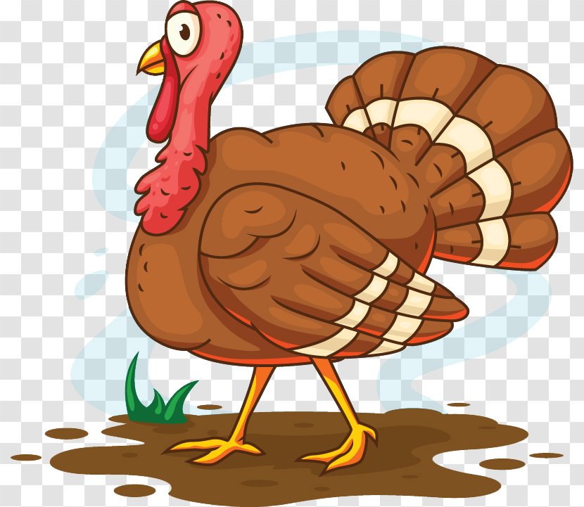 Turkey Meat Cartoon Illustration - Drawing - Thanksgiving Vector Transparent PNG