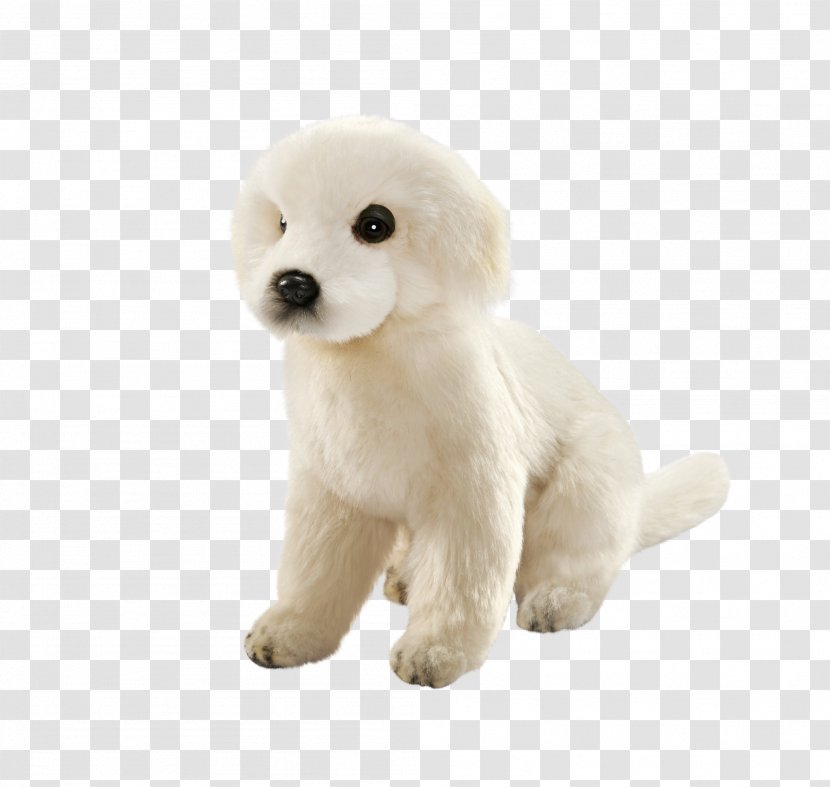 Standard Poodle Maremma Sheepdog Dog Breed Puppy - Stuffed Toy Transparent PNG