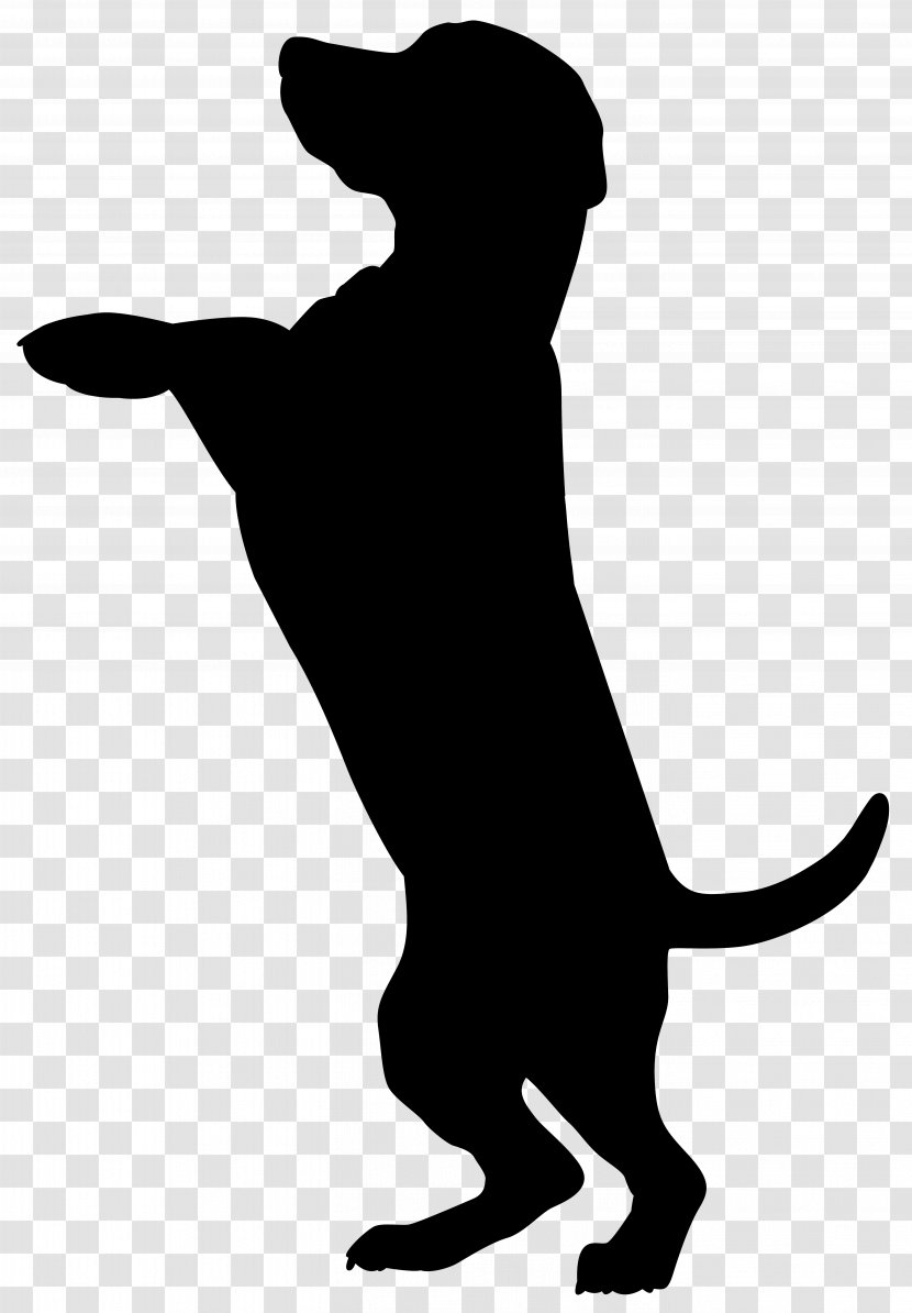 Boxer Dobermann Cat Pet Sitting Silhouette - Black And White - Dog Clip Art Image Transparent PNG