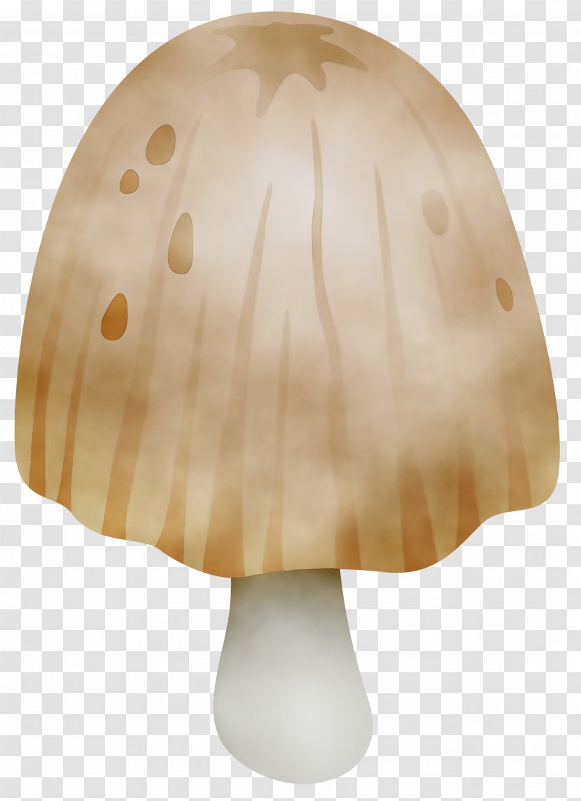 /m/083vt Product Design Wood - Agaricaceae - M083vt Transparent PNG