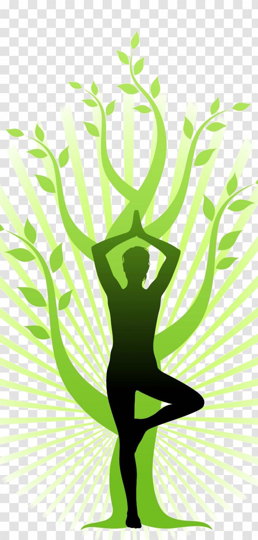 Ashtanga Vinyasa Yoga Vriksasana Exercise Yogi - Art Transparent PNG