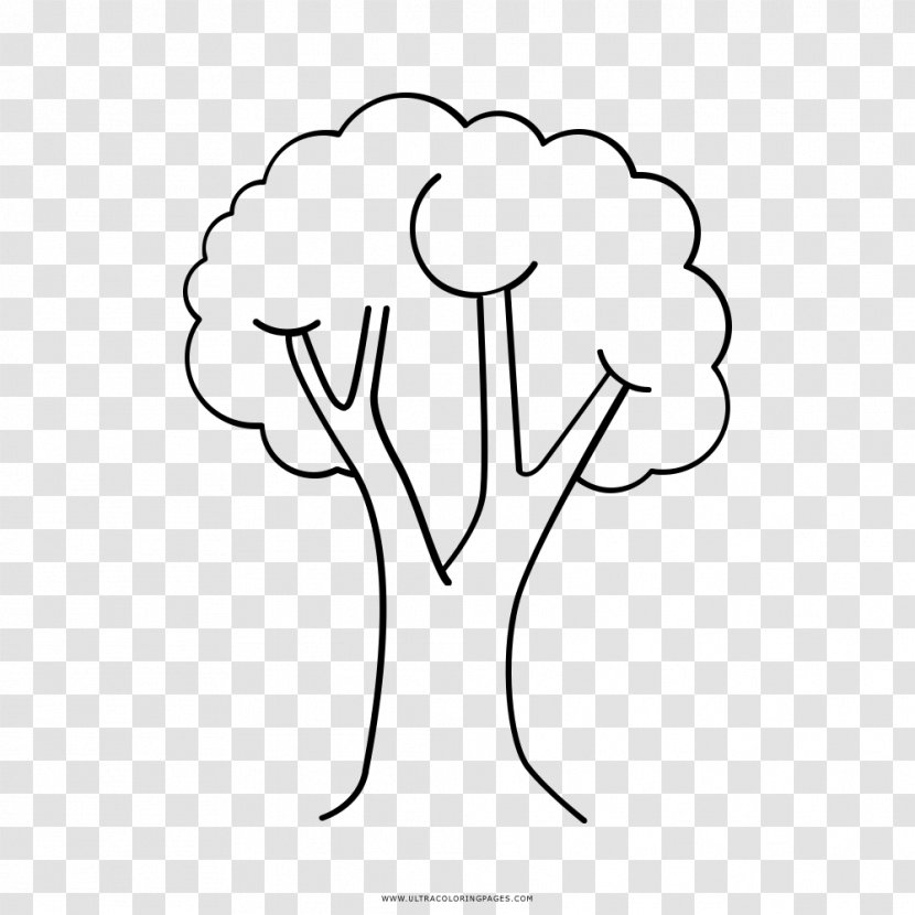 Tree Drawing Coloring Book Child - Flower Transparent PNG
