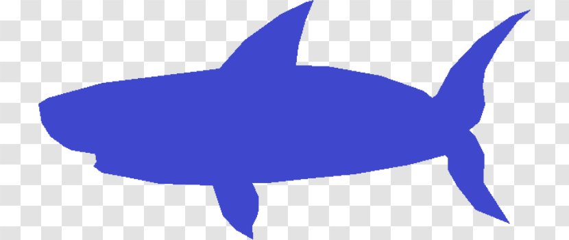 Shark Marine Biology Clip Art Cobalt Blue Fauna - Tail Transparent PNG