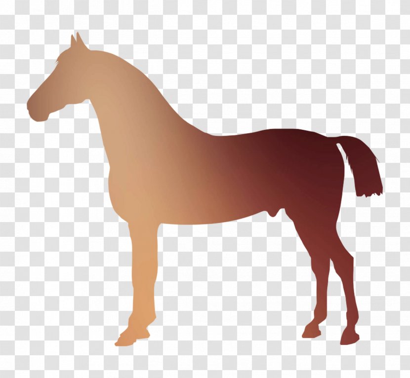 Mustang Stallion Foal Pony Colt - Mammal Transparent PNG