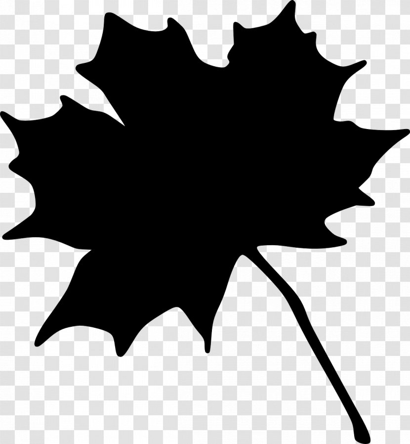 Maple Leaf Vector Graphics Autumn - Logo Transparent PNG