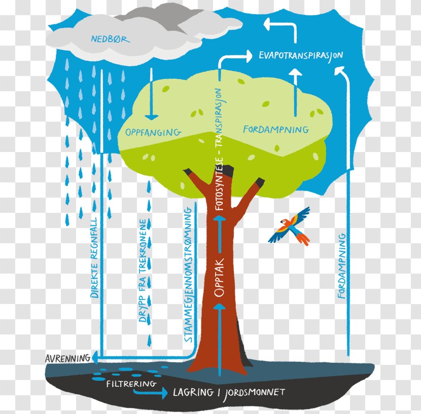 Water Resources Product Design Energy Graphics - Diagram Transparent PNG