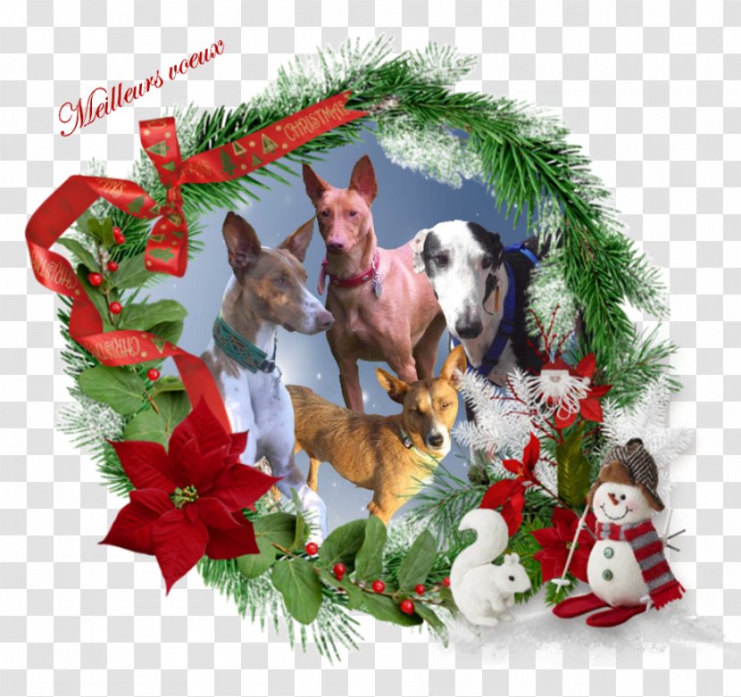 Christmas Ornament Wreath Digital Scrapbooking - Holiday Transparent PNG