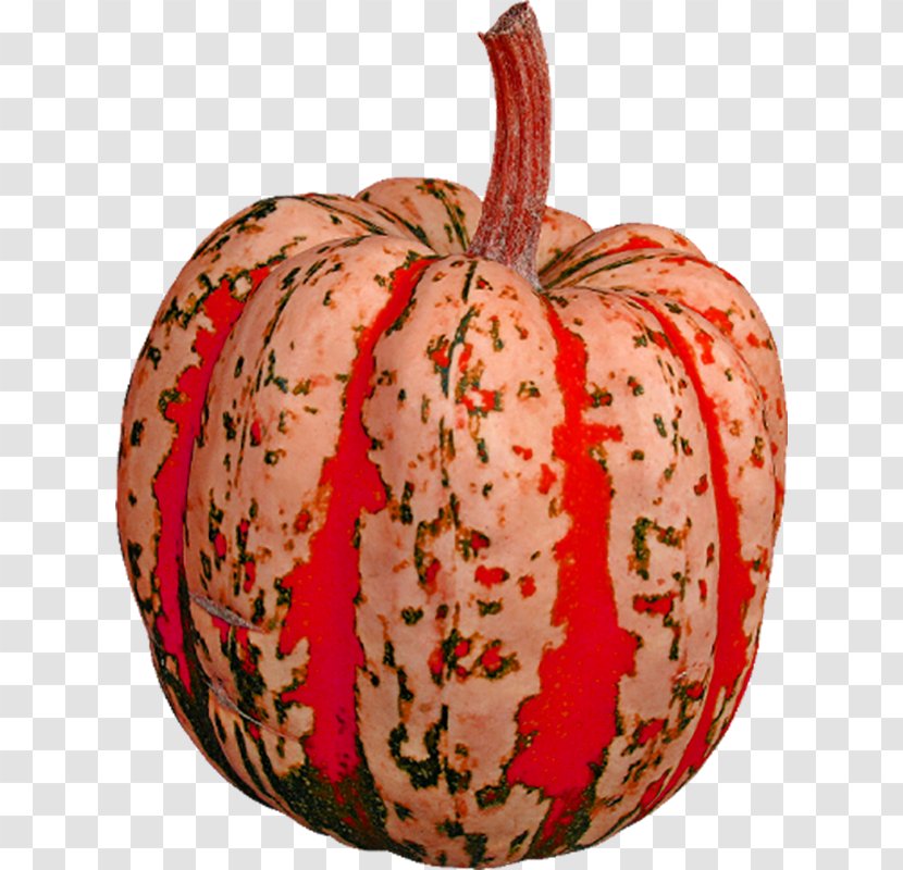 Pumpkin Food Winter Squash Vegetable - Gourd - Art Transparent PNG