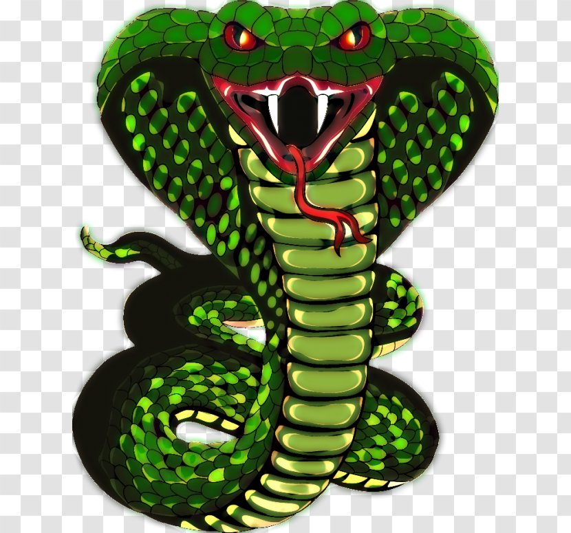 Snakes Reptile Vipers King Cobra Clip Art - Organism Transparent PNG