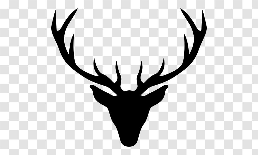 Reindeer White-tailed Deer Moose Antler - Mammal Transparent PNG