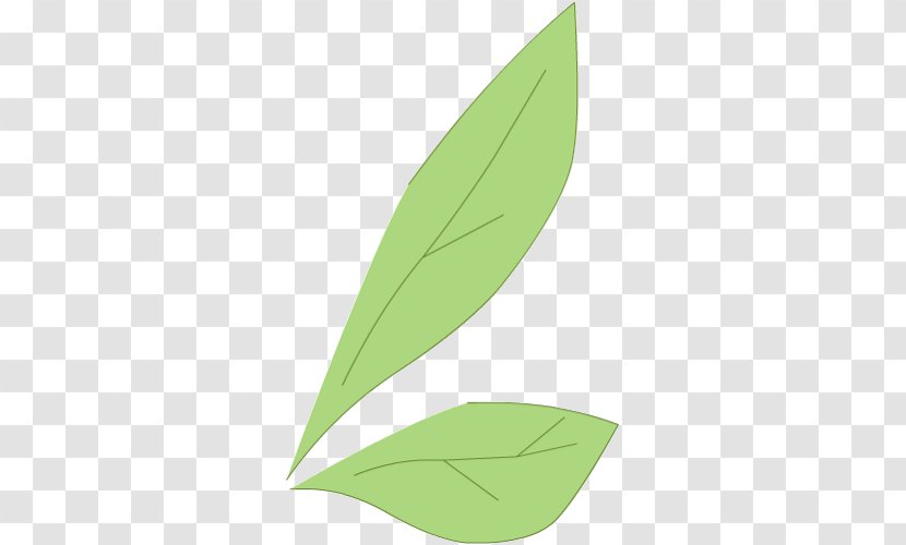 Leaf Plant Stem - Grass Transparent PNG