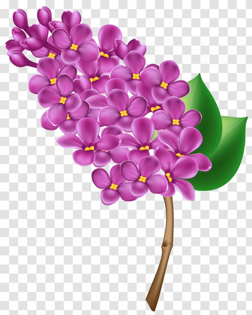 Lilac Flower Clip Art - Violet - Transparent Image Transparent PNG