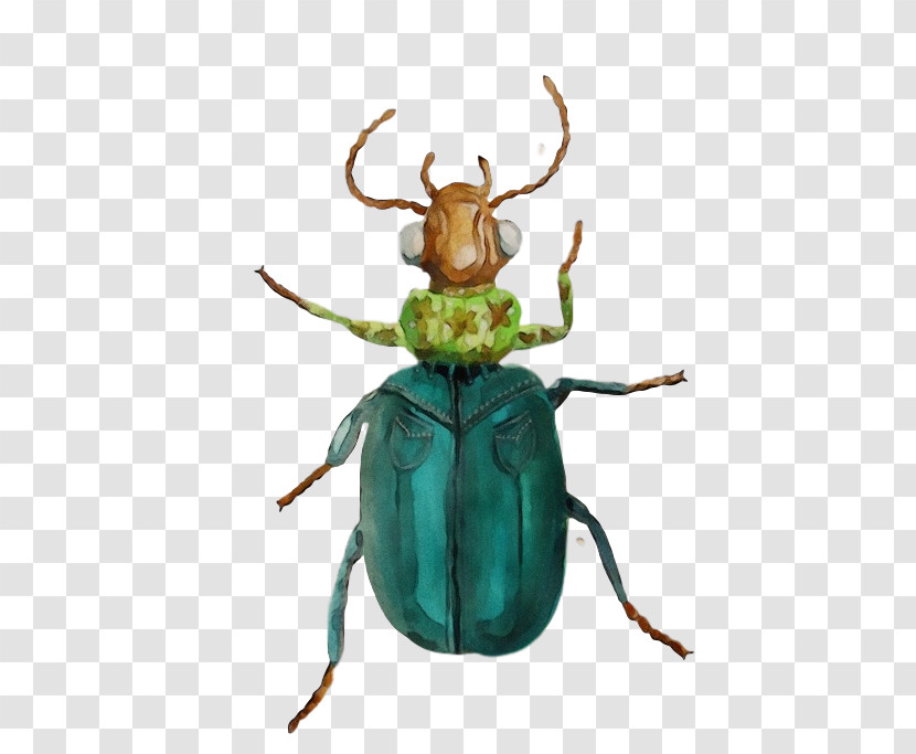 Insect Scarabs Pest Scarab Transparent PNG
