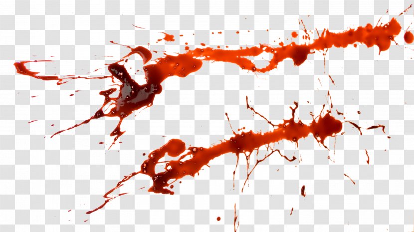 Blood Drawing Clip Art - Stock Photography Transparent PNG