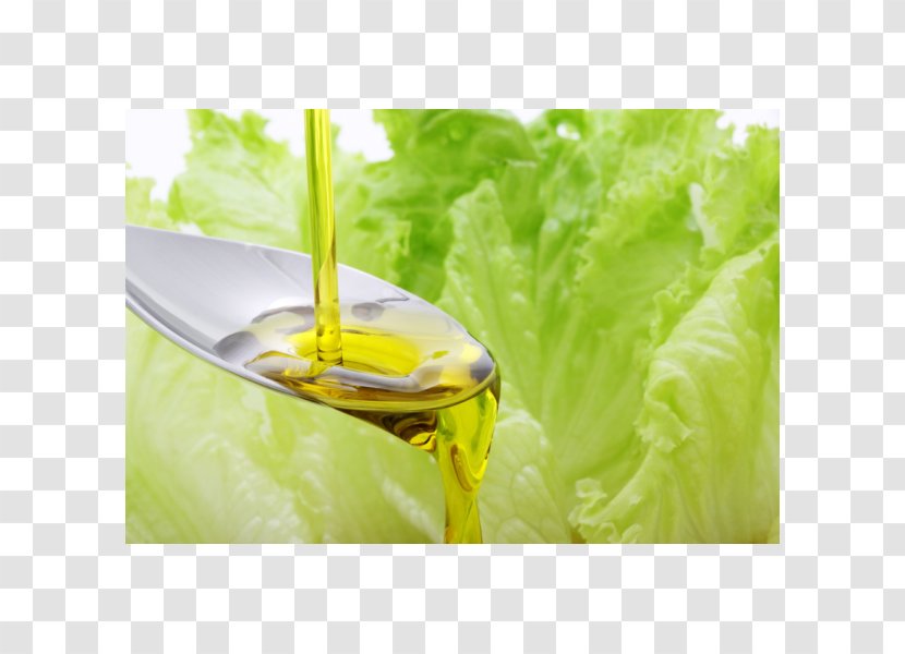 Vegetable Oil Food Health Sesame - Seed Transparent PNG