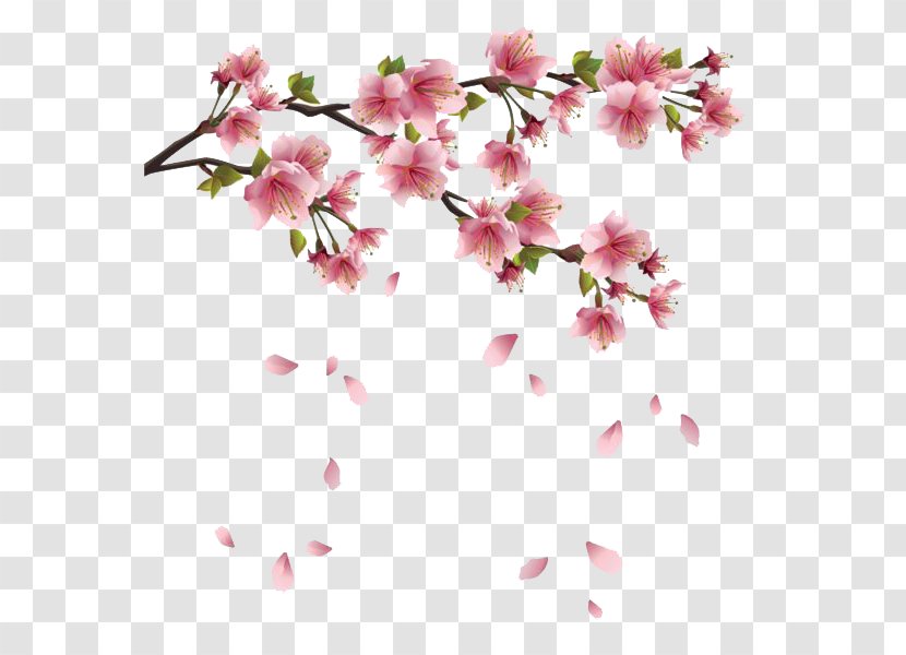 Flower Spring Branch Clip Art - Free Content - Floating Petals Transparent PNG