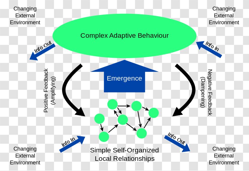 Complex Adaptive System Complexity - Selforganization - Science Transparent PNG