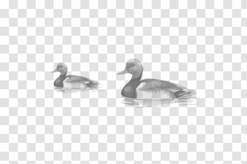 Duck Goose Bird Black And White Beak - Monochrome Photography - Mandarin Transparent PNG