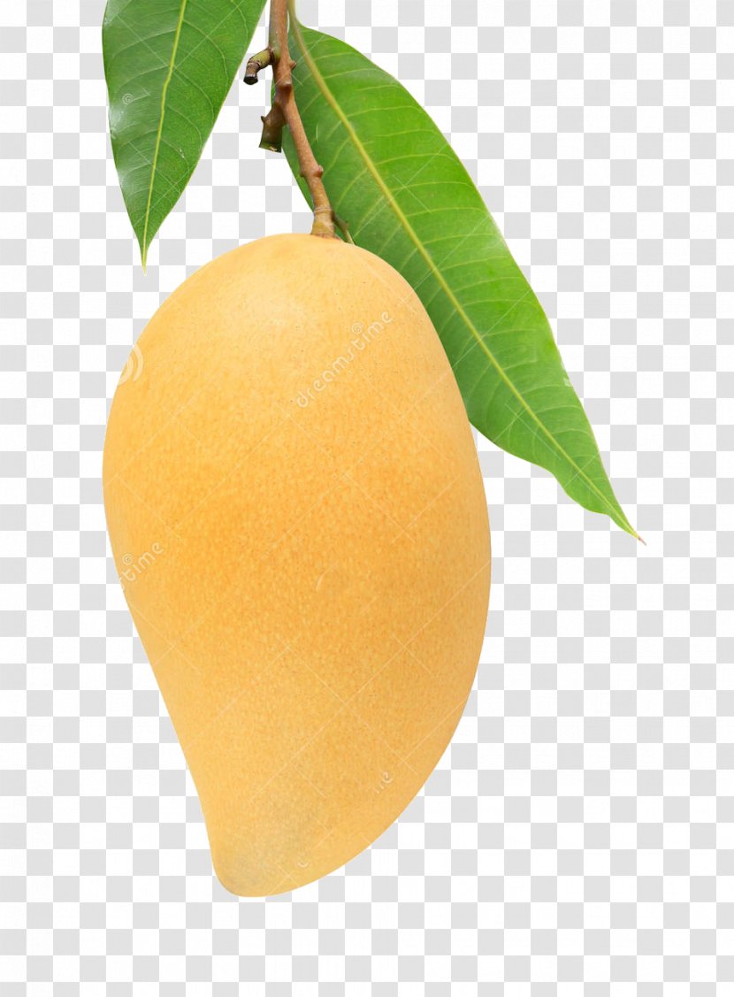 Mango Leaf Fruit Yellow Auglis - Stock Photography - Leaves Transparent PNG