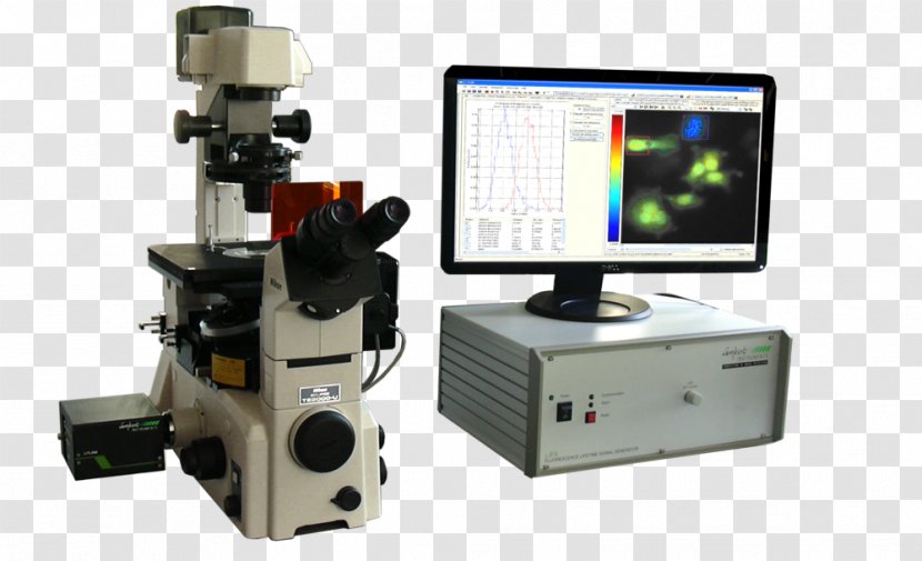 Fluorescence Microscope Carl Zeiss Microscopy Fluorescence-lifetime Imaging - Brightfield Transparent PNG