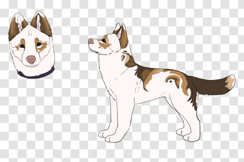 Whiskers Siberian Husky Dog Breed Puppy Cat - Small To Medium Sized Cats Transparent PNG