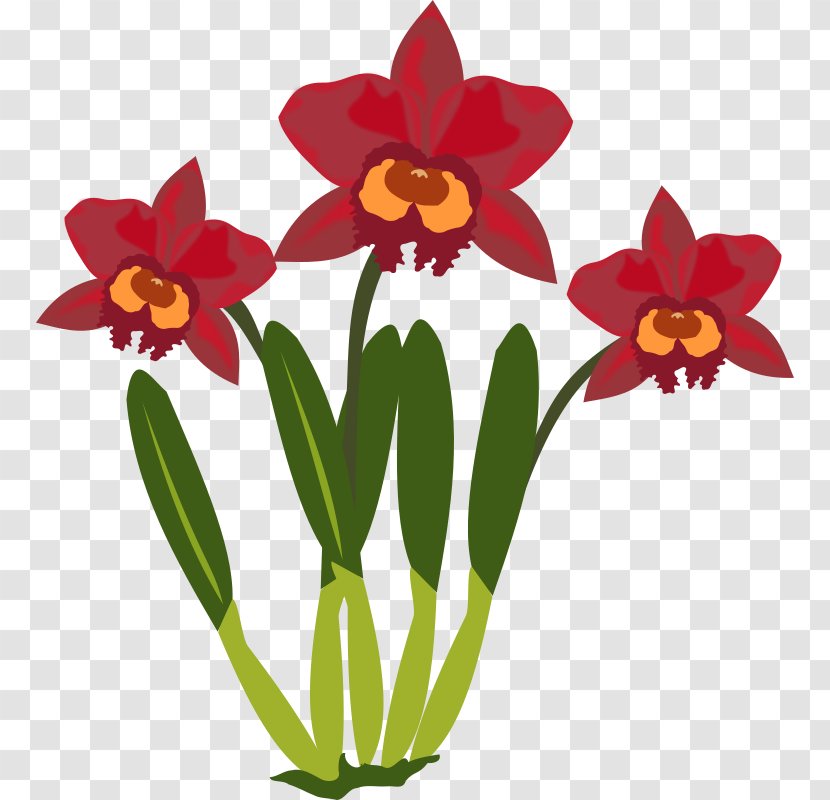 Cattleya Orchids Clip Art - Plant Transparent PNG