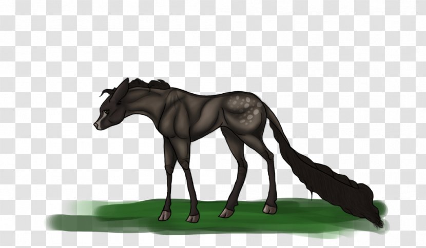 Mane Mustang Foal Stallion Colt - Pony - Royal Stag Transparent PNG