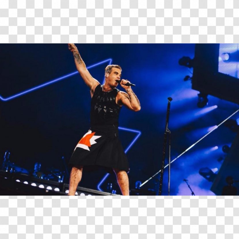 Concert Singer-songwriter Artist Musician - Flower - Robbie Williams Transparent PNG
