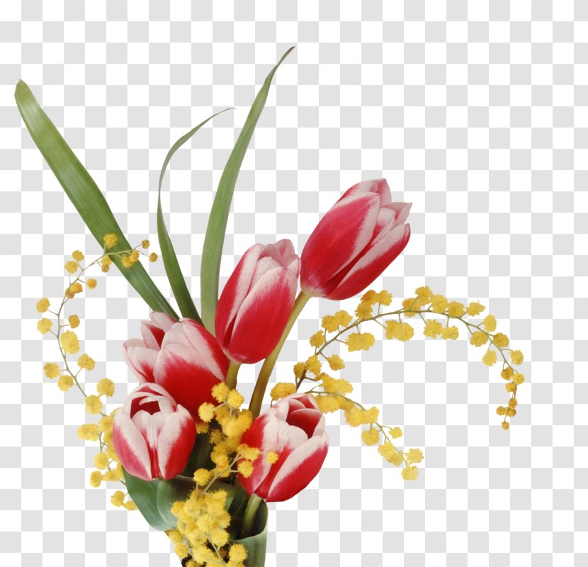 Laptop High-definition Television Flower Wallpaper - Petal - Red Tulips Transparent PNG