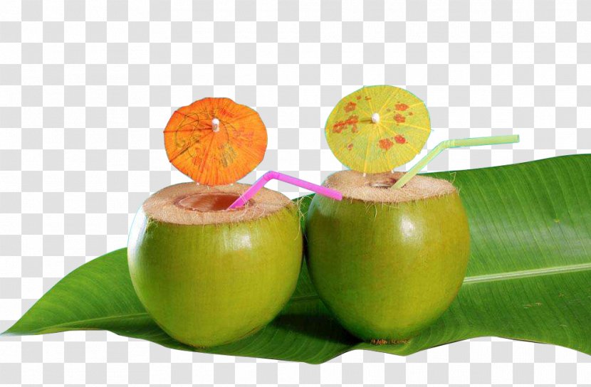 Cocktail Coconut Water Milk Caribbean Cuisine - Fruit - Raw Decoration In Kind Transparent PNG