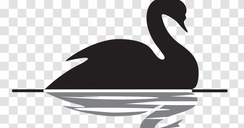 The Black Swan: Impact Of Highly Improbable Swan Theory Bird Clip Art - Beak Transparent PNG