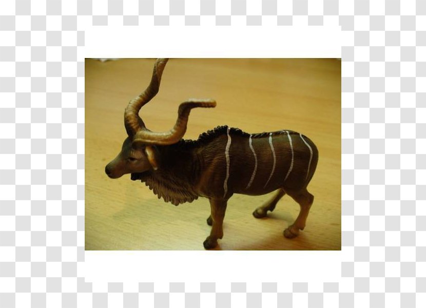 Bull Cattle Ox Antelope Bronze - Like Mammal Transparent PNG