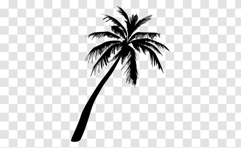 Arecaceae Silhouette - Palm Tree Transparent PNG