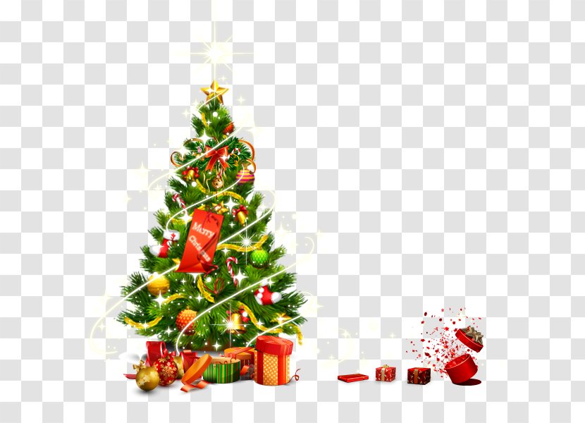 Santa Claus Christmas Tree Ornament Gift - Evergreen Transparent PNG