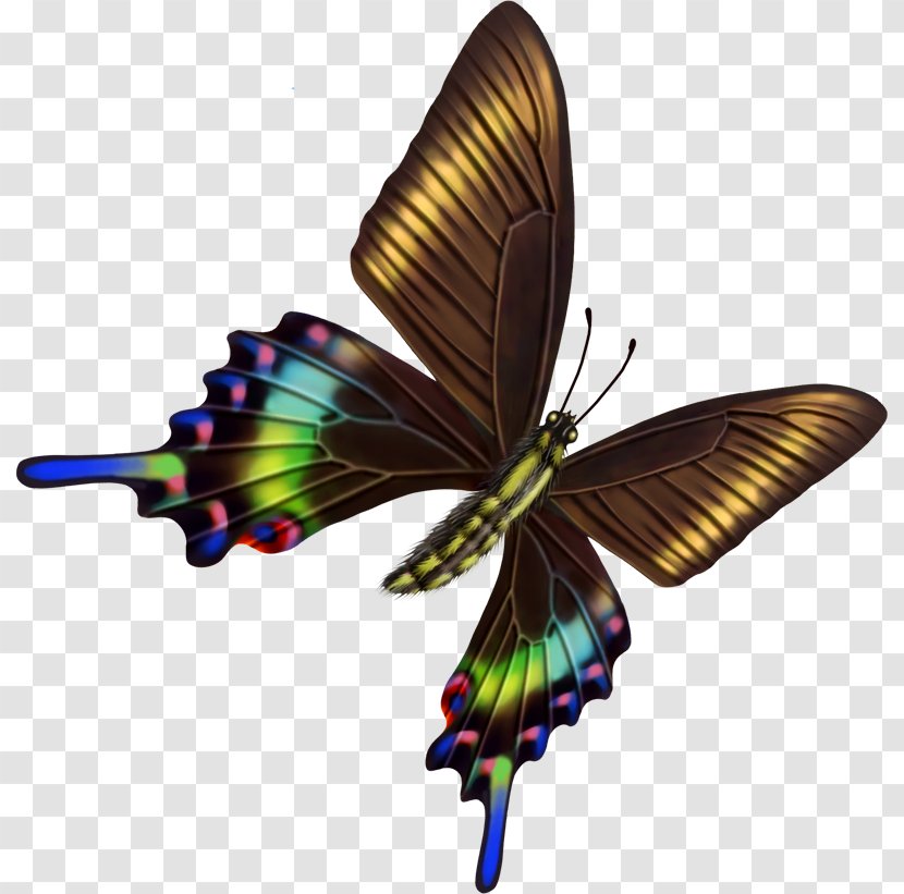 Butterfly Psychology Transparency And Translucency - Happiness Transparent PNG