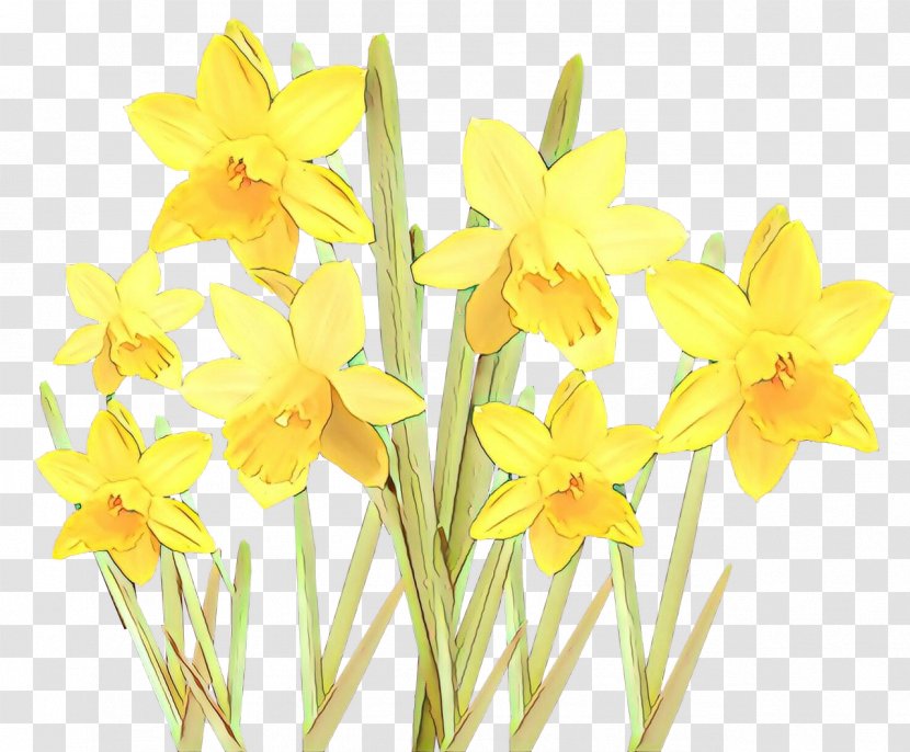 Flowers Background - Wildflower - Amaryllis Family Transparent PNG