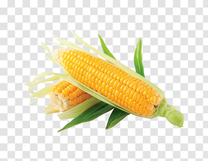 Grits Corn On The Cob Maize Sweet Baby - Ingredient - Kernel Transparent PNG