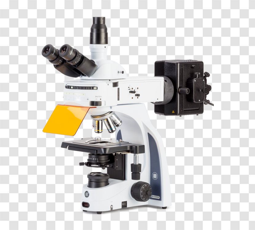 Fluorescence Microscope Microscopy Fluorophore - Total Internal Reflection Transparent PNG