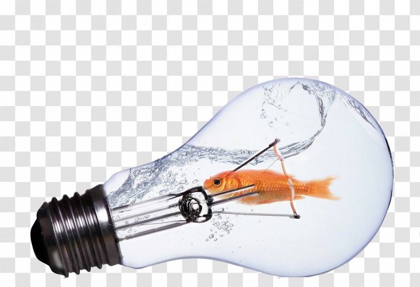 Incandescent Light Bulb Lamp - Fish Transparent PNG