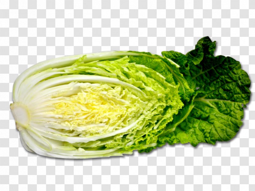 Chinese Cabbage Vegetable Cauliflower Broccoli - Iceburg Lettuce Transparent PNG