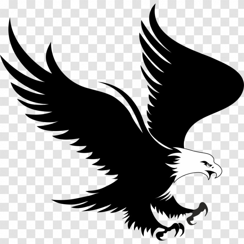 Bald Eagle Logo Clip Art - Illustrator Transparent PNG