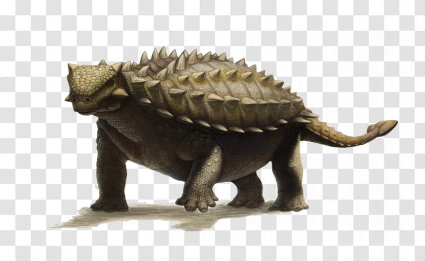 Ankylosaurus Talarurus Late Cretaceous Acanthopholis Euoplocephalus - Bird Transparent PNG