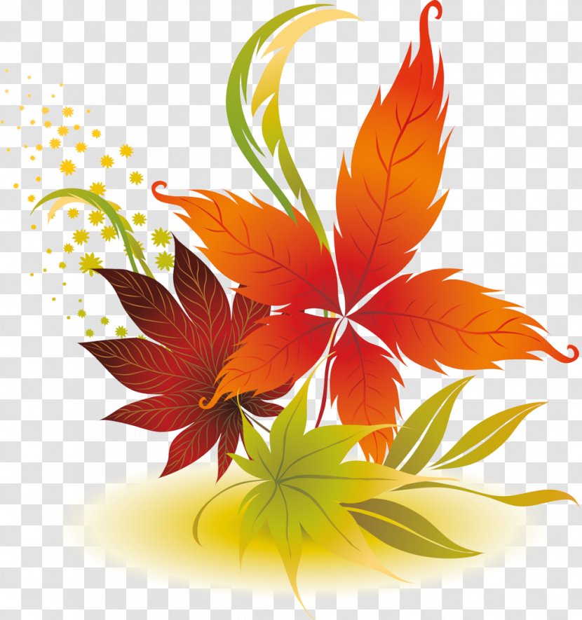 Leaf Abscission Desktop Wallpaper Clip Art - Orange Transparent PNG