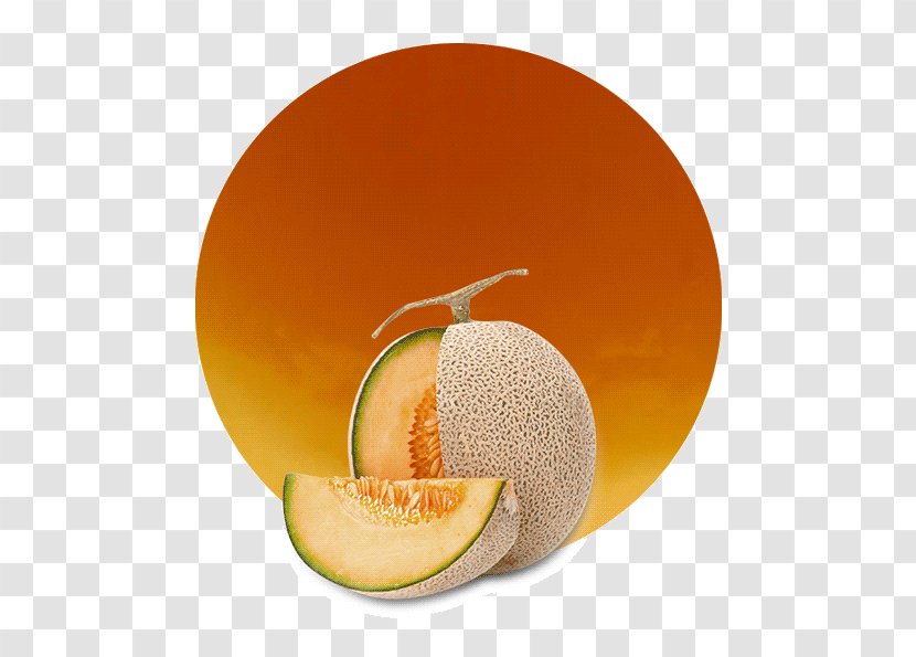 Cantaloupe Juice Vegetarian Cuisine Grapefruit Orange - Galia - Melon Transparent PNG