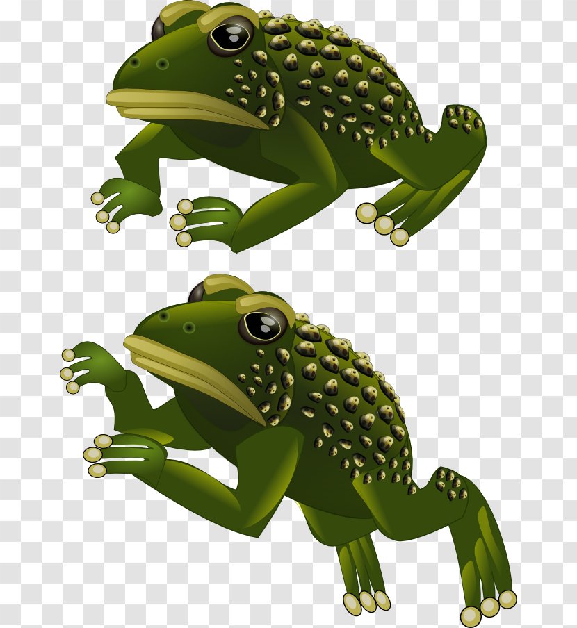Toad True Frog 2D Computer Graphics Sprite - Ranidae Transparent PNG
