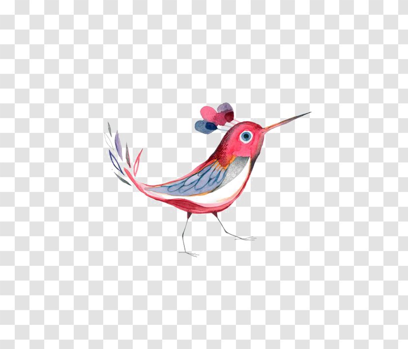 Hummingbird Illustration - Beak - Hand-painted Birds Transparent PNG
