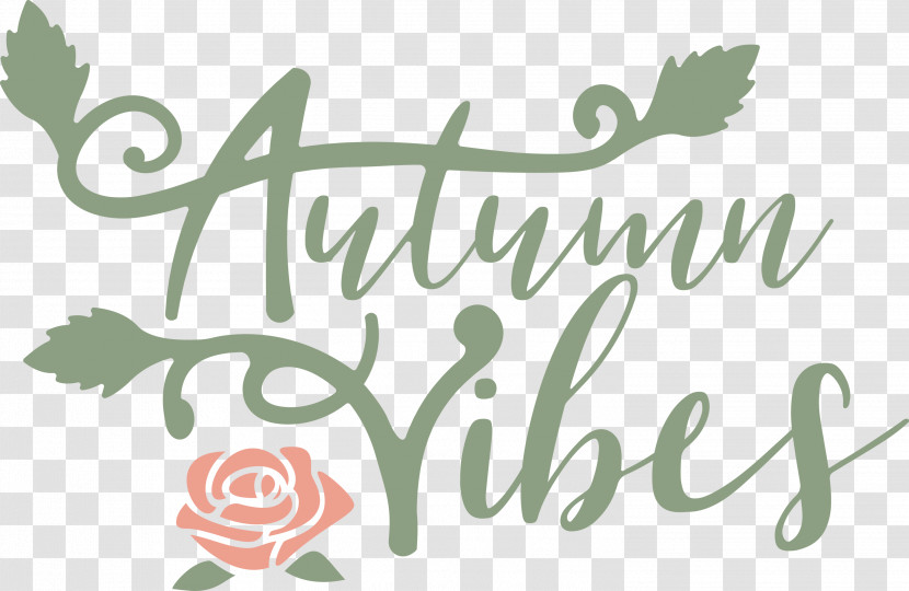 Autumn Vibes Autumn Fall Transparent PNG