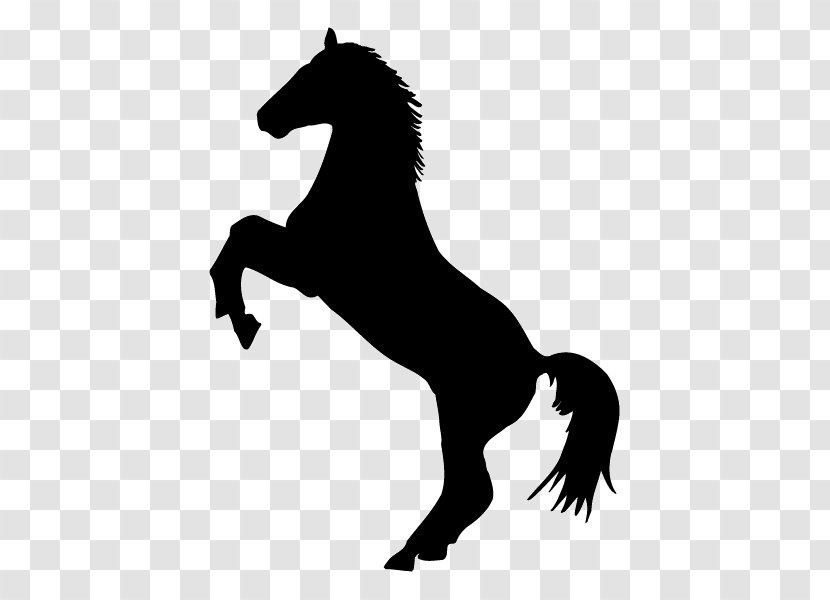 Horse Decal Sticker Rearing Stallion - Silhouette Transparent PNG