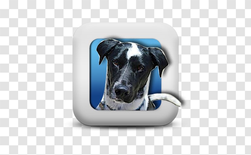 Dog Breed Great Dane YouTube Game Gazima GmbH - Youtube Transparent PNG