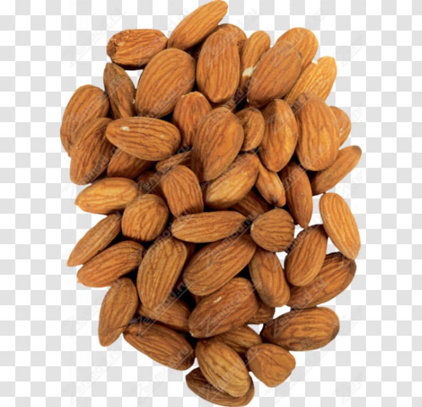 Nut Celebrity Chef Digestive Enzyme Almond - Bitter Transparent PNG